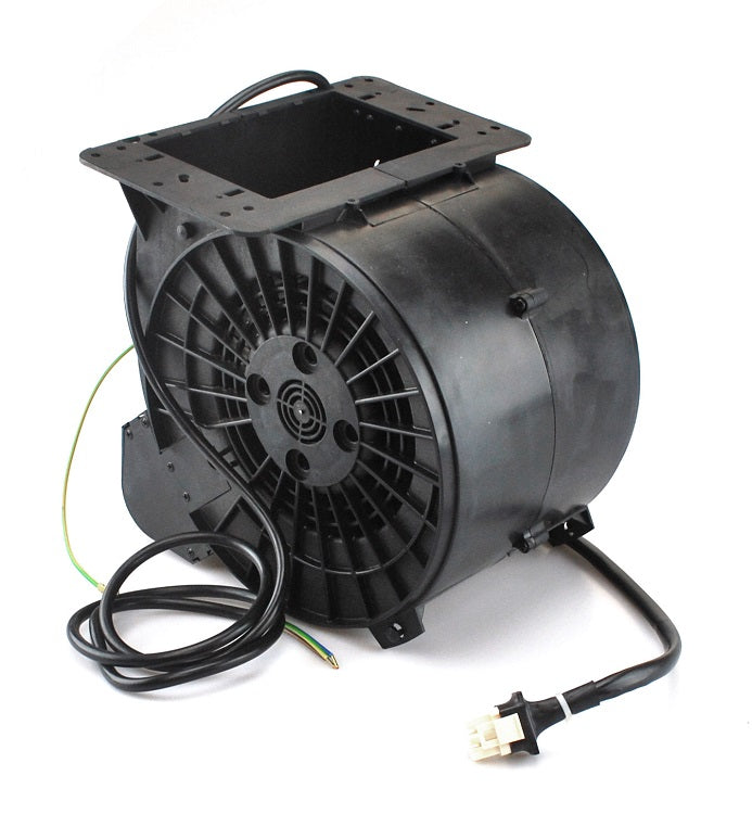 Smeg Motor - 795210404