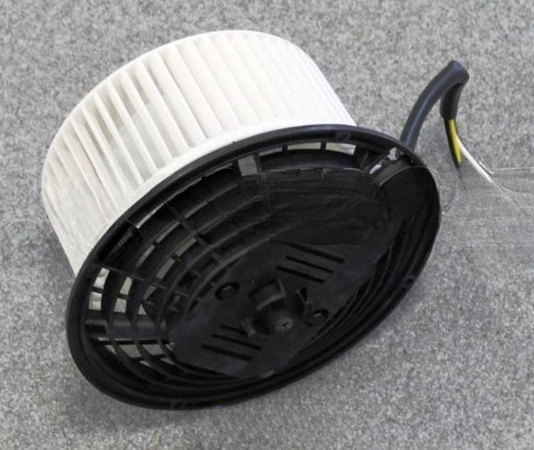 Smeg Motor 220V-50Hz 3V - 795210711