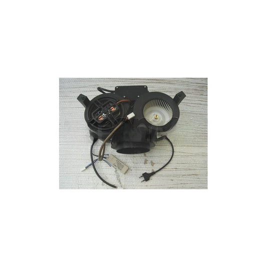 Smeg Motor - 795210707
