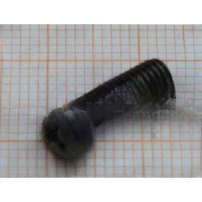 Smeg Screw - 899371894