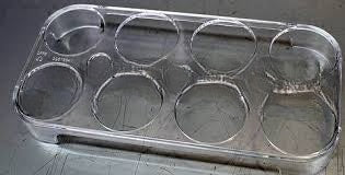 Smeg Crisper Upper Glass Air - 775652160